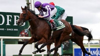 St Nicholas Abbey’s quest for greatness