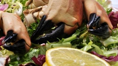 Chilli Crab Salad with Smoked Salmon