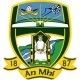Car crash claims life of Meath minor star