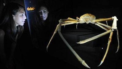 26/05 Pic of the Day