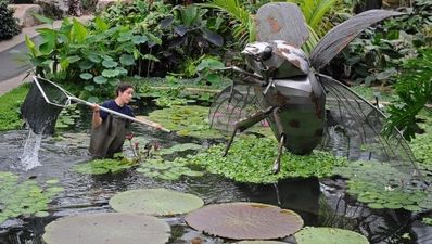 27/05 Pic of the Day