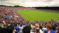 Gavin against Pairc project