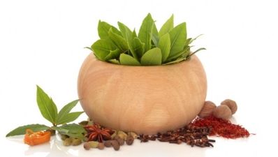 Introduction to Sports Nutrition