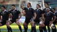 Maoris fear wounded Irish