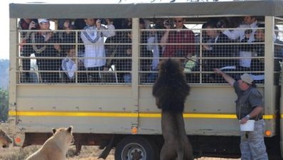 25/06 Pic of the Day