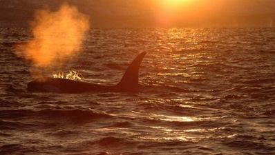 Killer adventure holidays