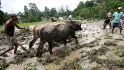 29/06 Pic of the Day