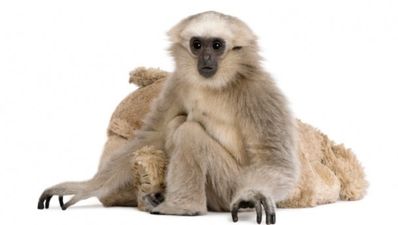 20/07 Tales from the Tabs