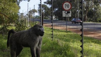 20/07 The End of the Day