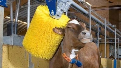 22/07 The Morning JOE