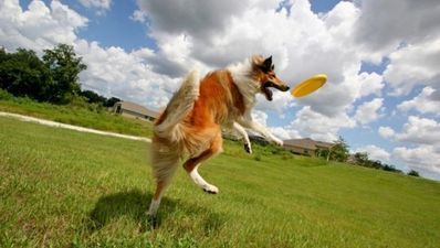 30/07 The Morning Joe