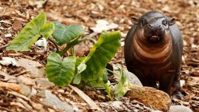 05/08 The End of the Day