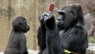 11/08 Tales from the Tabs