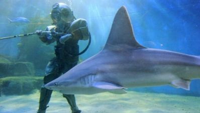 20/08 Pic of the Day