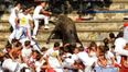 Bull Fights Back in Pamplona