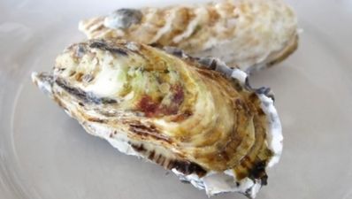 Dingle Gears up for Food Festival