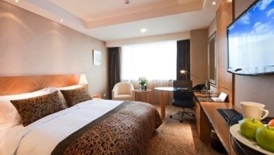 Hotel prices slashed by 50 per cent