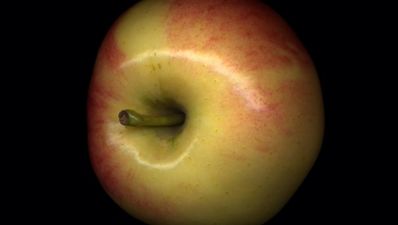 Apple to give Ireland ‘Black Friday’ discounts