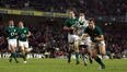 International rugby: Ireland 29-9 Argentina in pictures