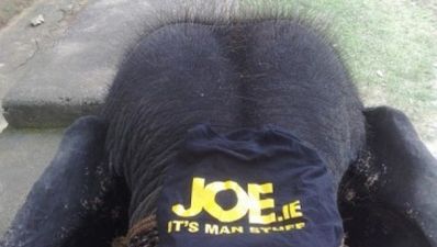 Elephants, swordsmen and the Arklow Boys home in Sri Lanka