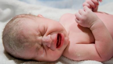 13/12 Twit of the Day