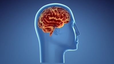 Five mental health foods