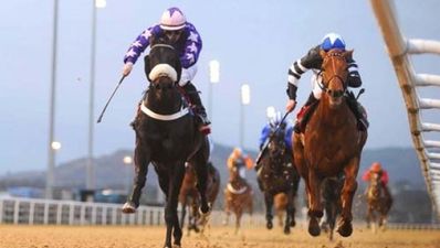 13/1 JOE’s Daily Punts