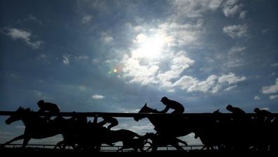 17/1 JOE’s Daily Punts