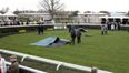 Two horses killed in parade ring at Newbury