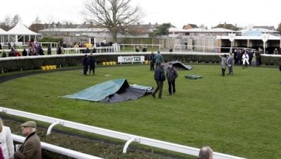 Two horses killed in parade ring at Newbury