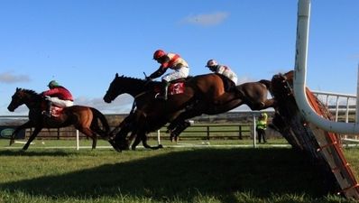 16/02 JOE’s Daily Punts