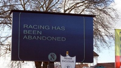 Electrical cable caused horses’ deaths at Newbury