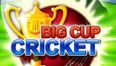 Hop on the Irish bandwagon with the Big Cup Cricket app