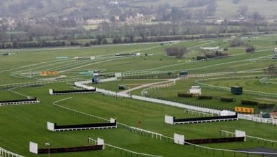 15/03 JOE’s Daily Punts – Cheltenham