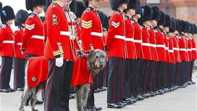 Prince ‘going Irish’ with wedding outfit