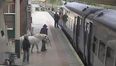No pony express train for Welshman