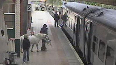 No pony express train for Welshman