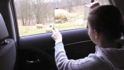 Toyota’s “Window to the World” car concept