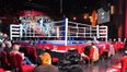 Boxer arrested mid-fight, loses on TKO
