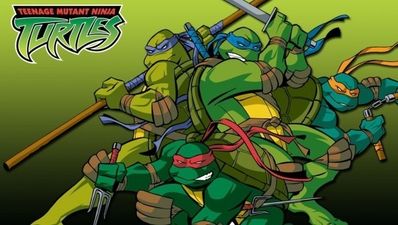 Derry judge blames “Ninja Turtles” for “martial arts” attack