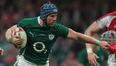 Kidney makes mass changes to Ireland team