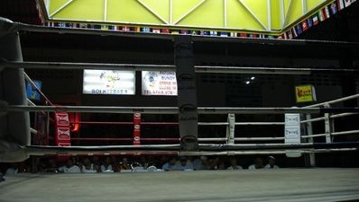 Four-man Muay Thai show to hit Ireland