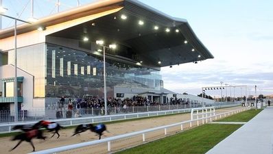 Greyhound focus: Limerick Greyhound Stadium