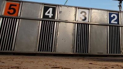 Hennerty Sales Irish Laurels Final – the preview