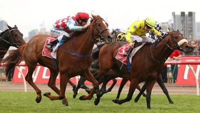 Video: Melbourne Cup photo-finish