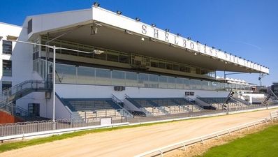 Dublin greyhound focus: What’s the drill with Shelbourne Park and Harold’s Cross?