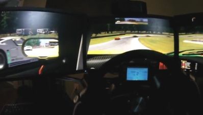 If this simulator were anymore realistic you’d be cleaning bugs off the grill