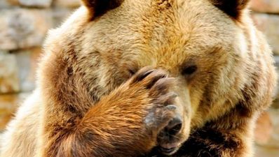 Website to waste time: FMyLife.com