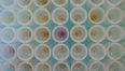 Scientists create sperm in lab… game over lads