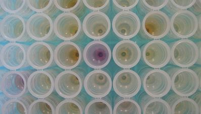 Scientists create sperm in lab… game over lads